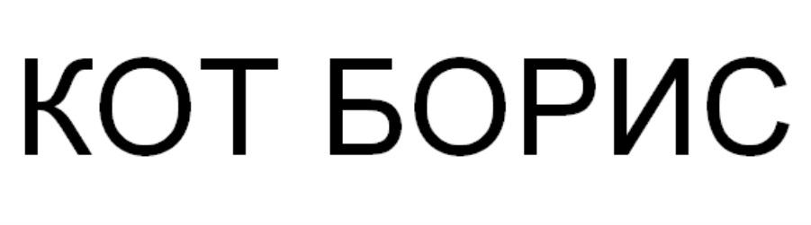 КОТ БОРИС