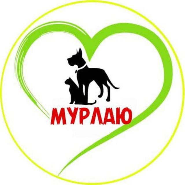 Товарный знак 1182119, зарегистрирован Онлайн Патентом за 3 мес.