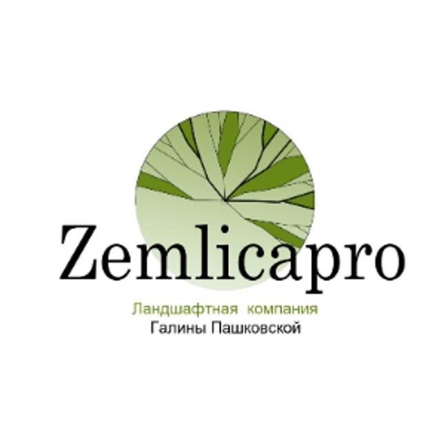 Товарный знак 1245713, зарегистрирован Онлайн Патентом за 12 мес.