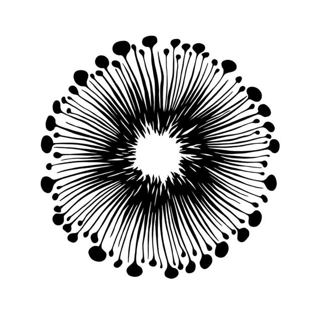 Товарный знак 1183137, зарегистрирован Онлайн Патентом за 4 мес.