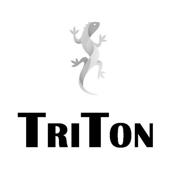 Товарный знак 1175706, зарегистрирован Онлайн Патентом за 10 мес.