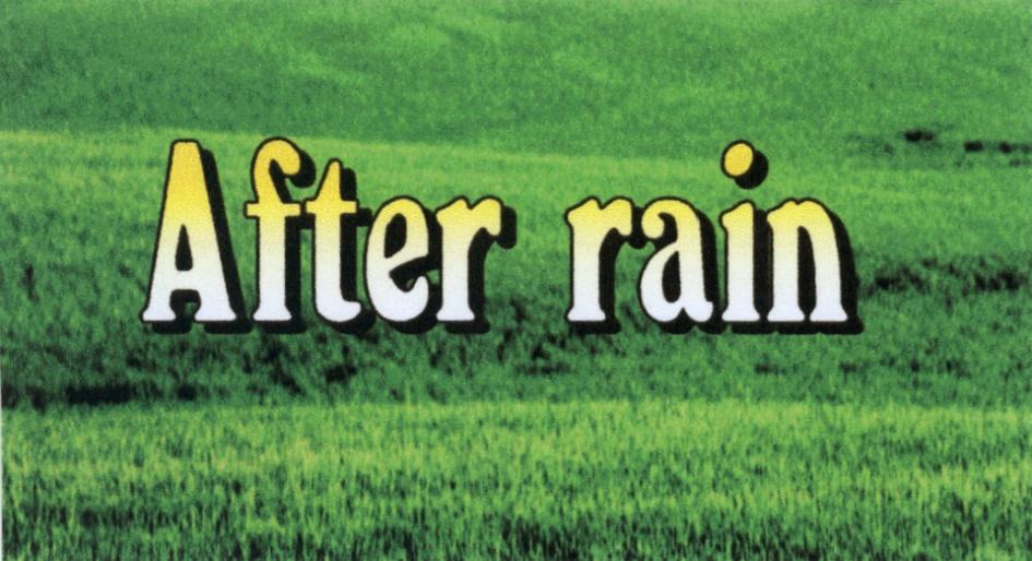 AFTER RAIN