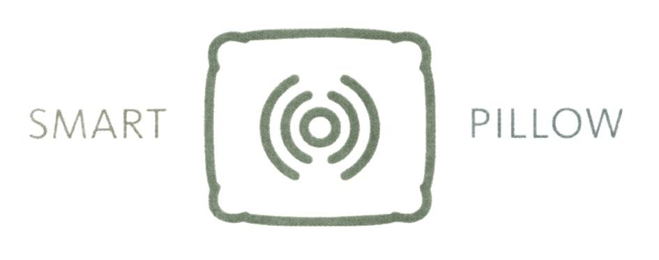 SMART PILLOW