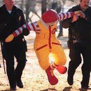Внук поэтессы отсудил у McDonald's  200 тыс руб за использование стихов в рекламе