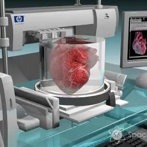 Сделано в Германии: немцы запатентовали одноразовый 3D-принтер для печати внутренних органов